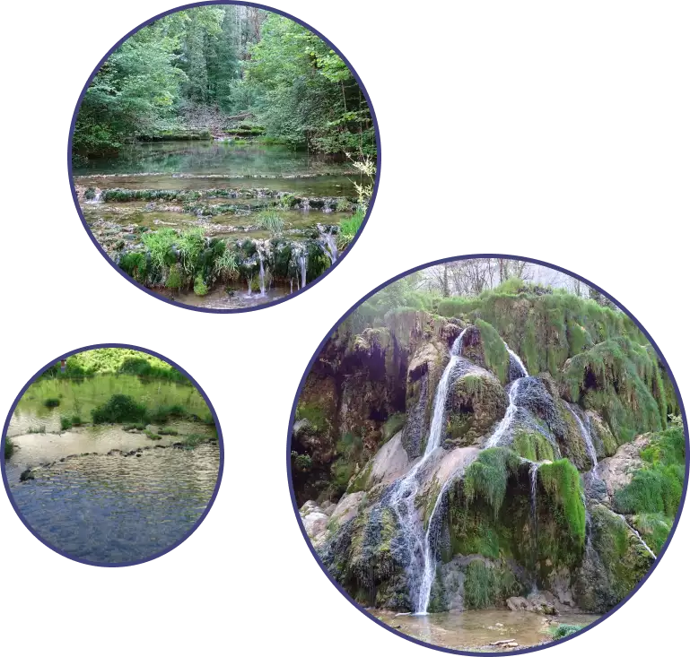 Trois images dans des cercles. La plus grande des images montre la cascade vue de devant, elle est très grande, environ 6 mètres de haut. L'eau s'écoule lentement. Il y a beaucoup de mousses vertes. La deuxième photo montre la cascade un peu plus loin. Elle fait comme des petits escaliers. Il y a une forêt qui l'entoure. La troisième montre le petit étang calme qui s'est formé après les cascades. Il est en deux parties. Il y a de l'herbe haute qui l'entoure par endroit. 